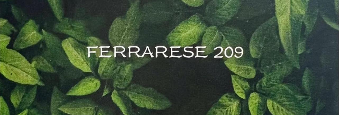 Ferrarese209 Apartment Bologna Luaran gambar
